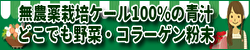 無農薬栽培ケールの青汁とどこでも野菜